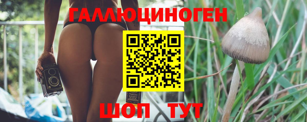 цена   Псилоцибиновые грибы Cubensis  Вход с VPN  Нефтекумск 
